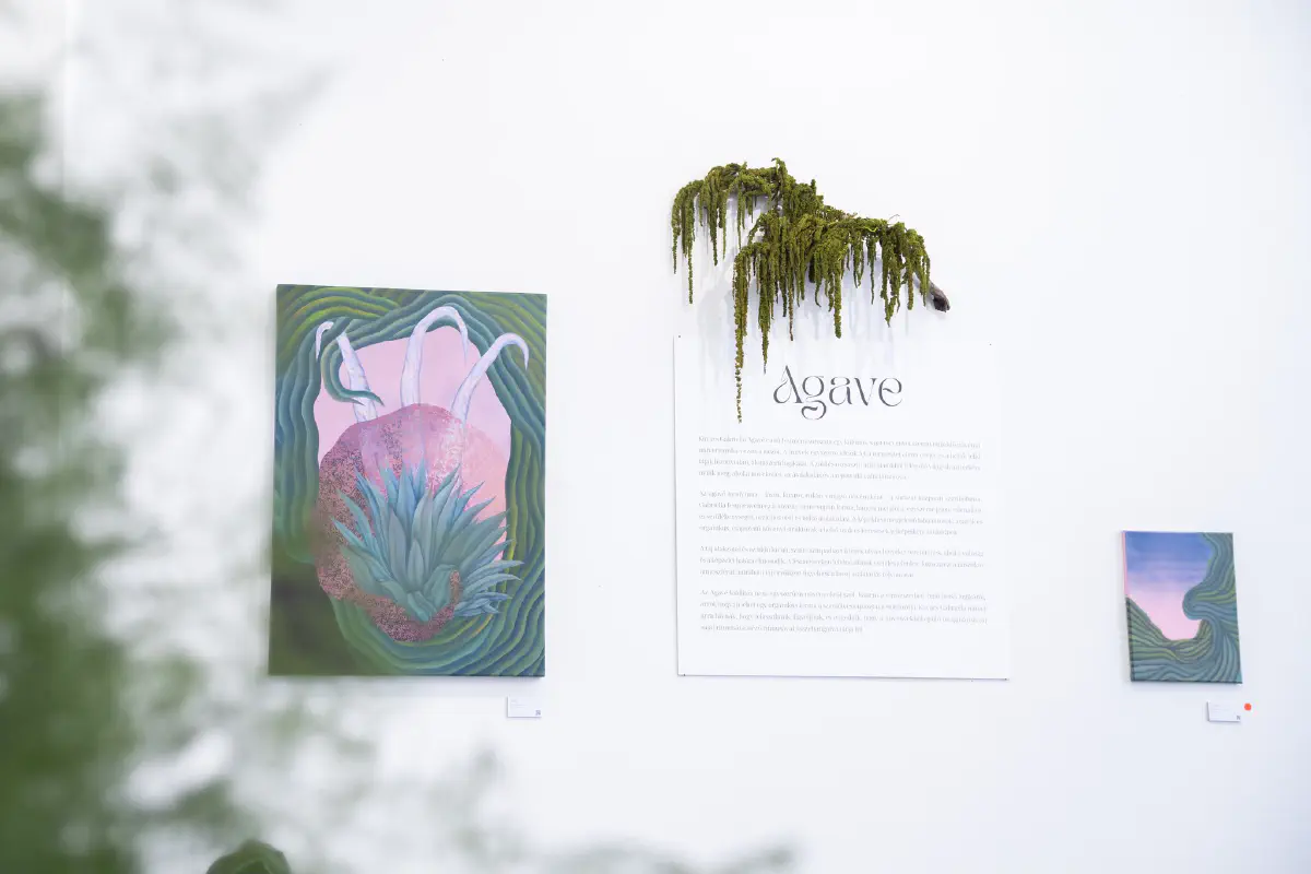 Live performance at the Agave exhibition
